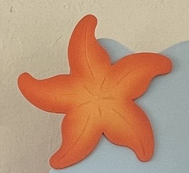 Estrela do Mar